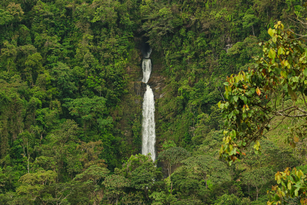 Ruta Cascada Santa Bárbara Vereda Corcovado