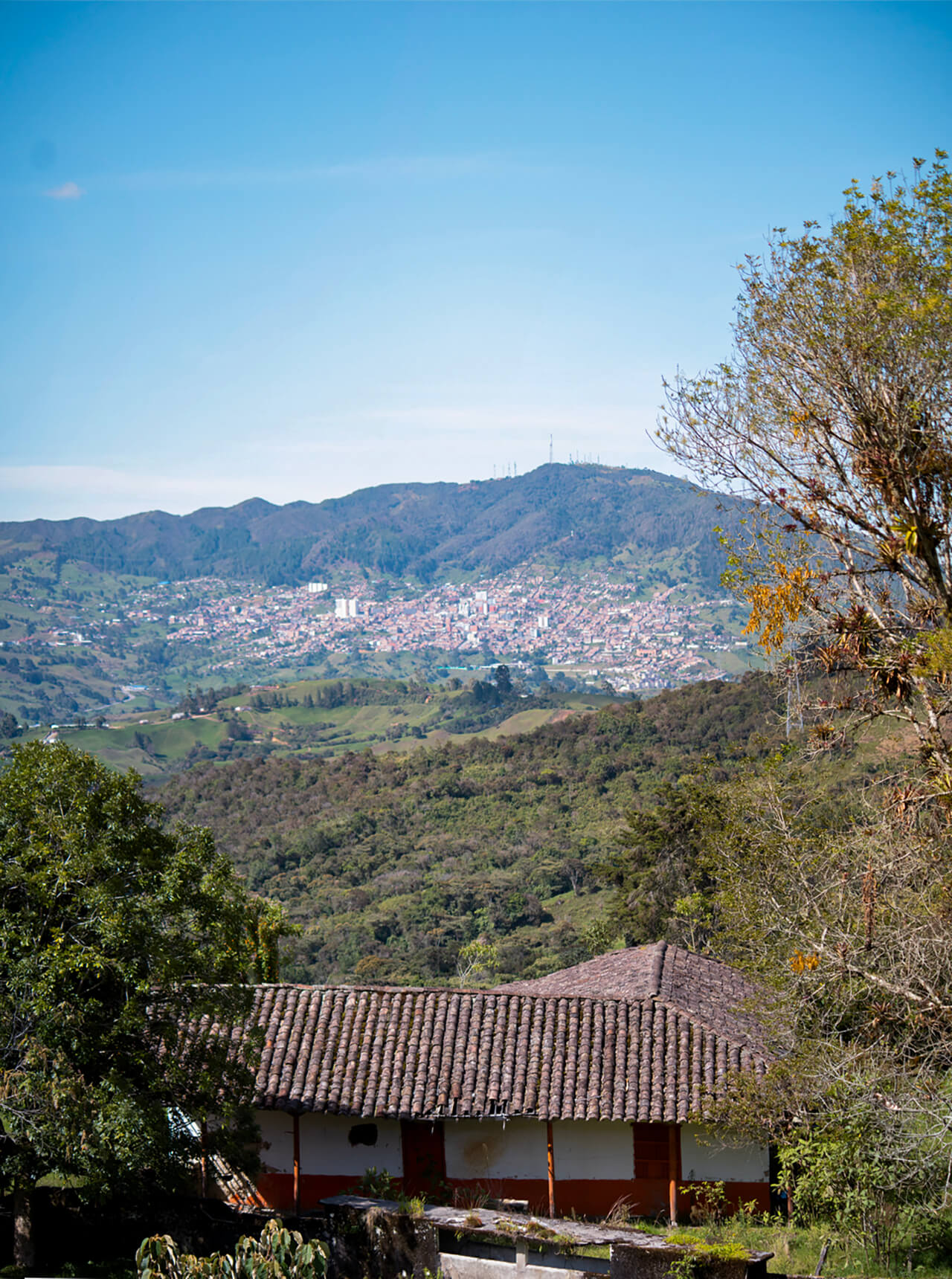 Finca El Caunce - Detalle histórico