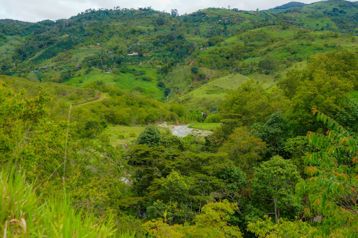 Ruta Libertadora - Imagen 2