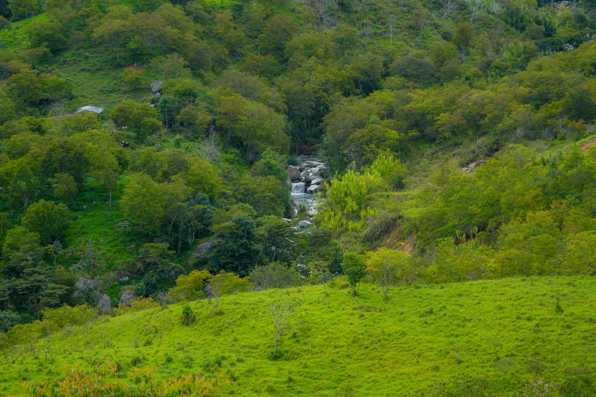 Ruta Libertadora - Imagen 5